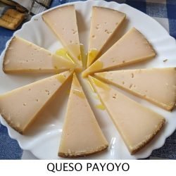 QUESO PAYOYO