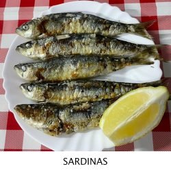 SARDINAS